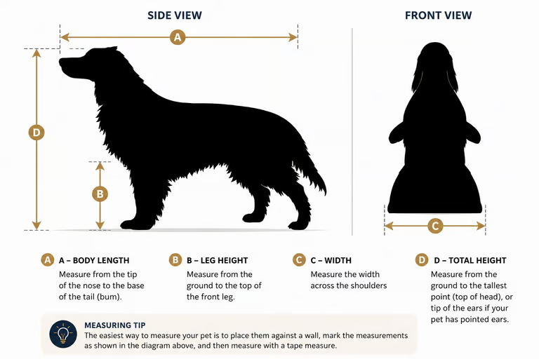 Pet measurement guide showing how to measure your pet for travel