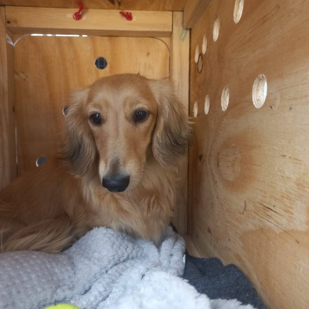 466737236_122097047942622913_5844778965246303260_n