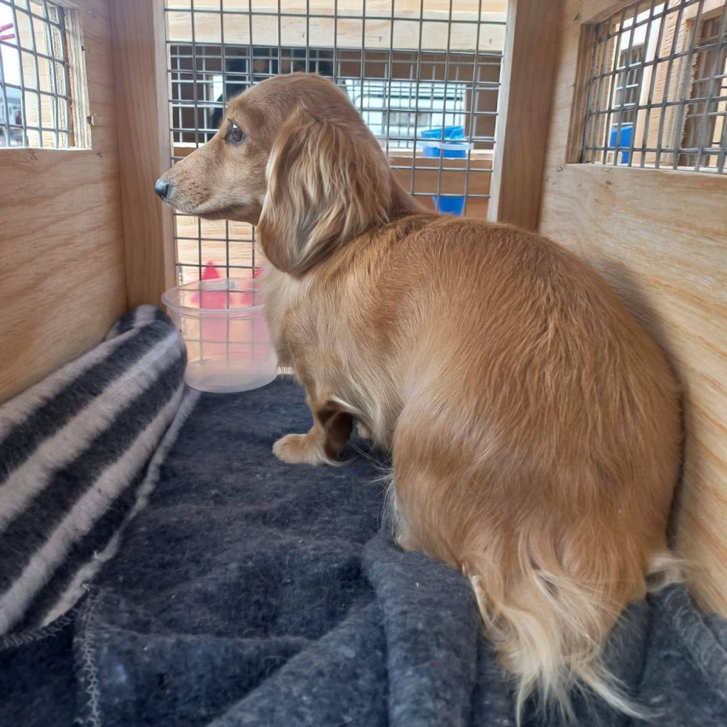 470133037_122111618174622913_7884081772931159862_n