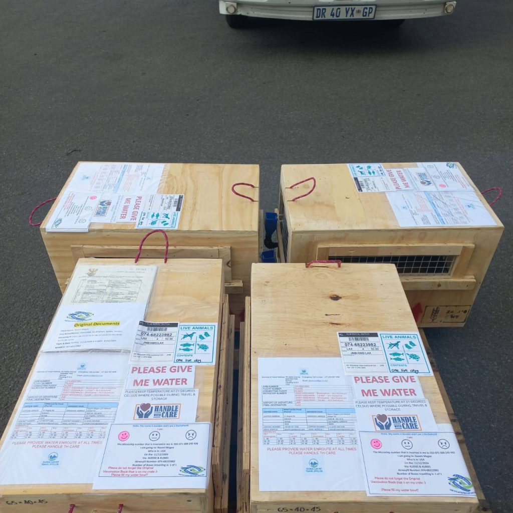 470173123_122111618180622913_2890389136258871422_n