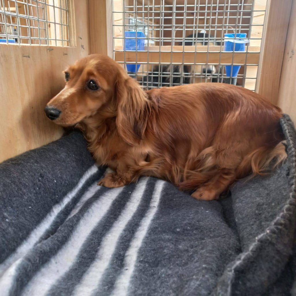 470196828_122111618102622913_6751769769902988612_n