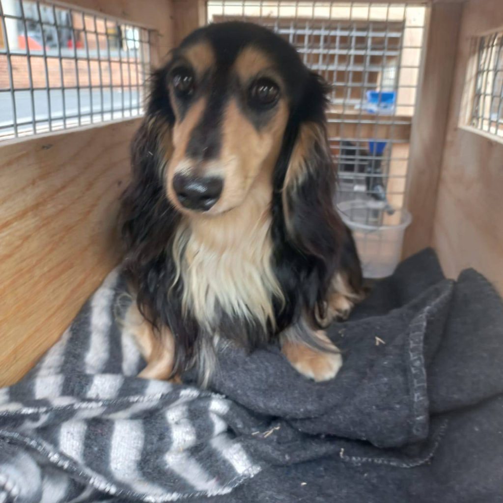 470472838_122111618024622913_5075465235550831891_n